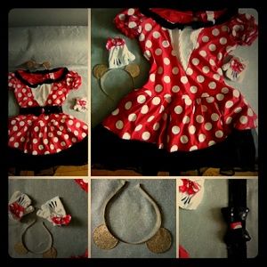 Disney Minnie Mouse Adult Costume